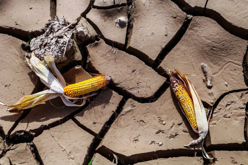 Ξηρασία: Απειλείται η αγροτική παραγωγή της Ελλάδας – Οι χάρτες της Κομισιόν