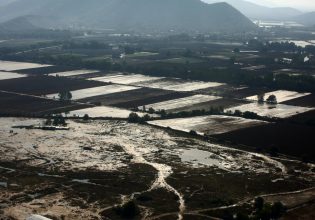 Θεσσαλία: Εννέα κρούσματα λεπτοσπείρωσης το τελευταίο 24ωρο