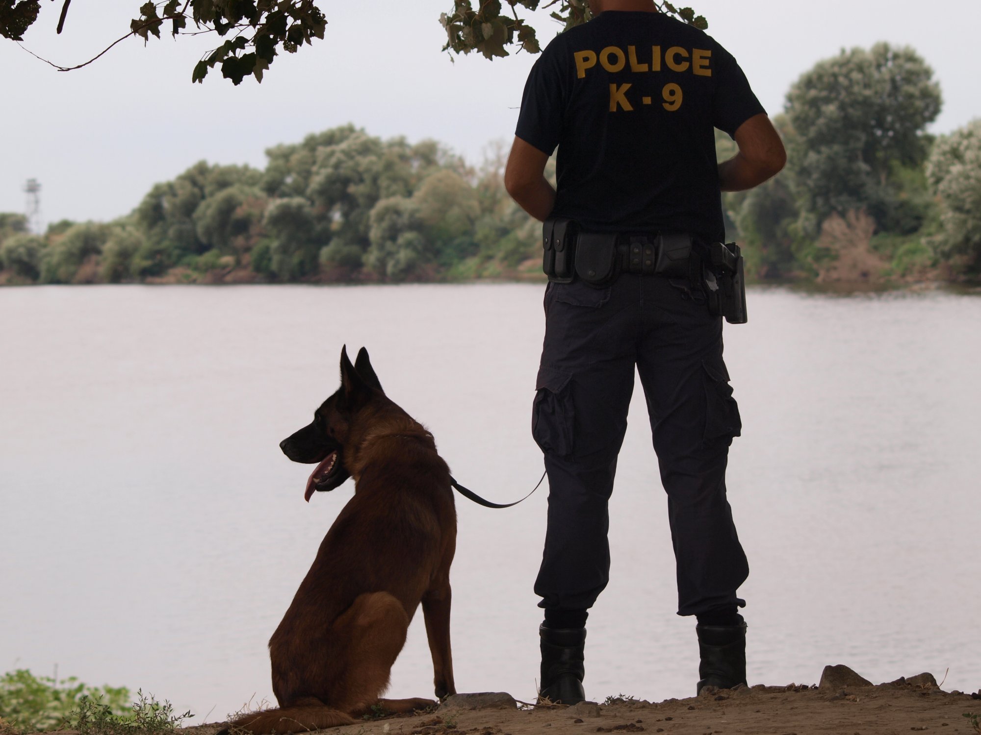 Αστυνομικός σκύλος «έπεσε» εν ώρα καθήκοντος στην Αριζόνα
