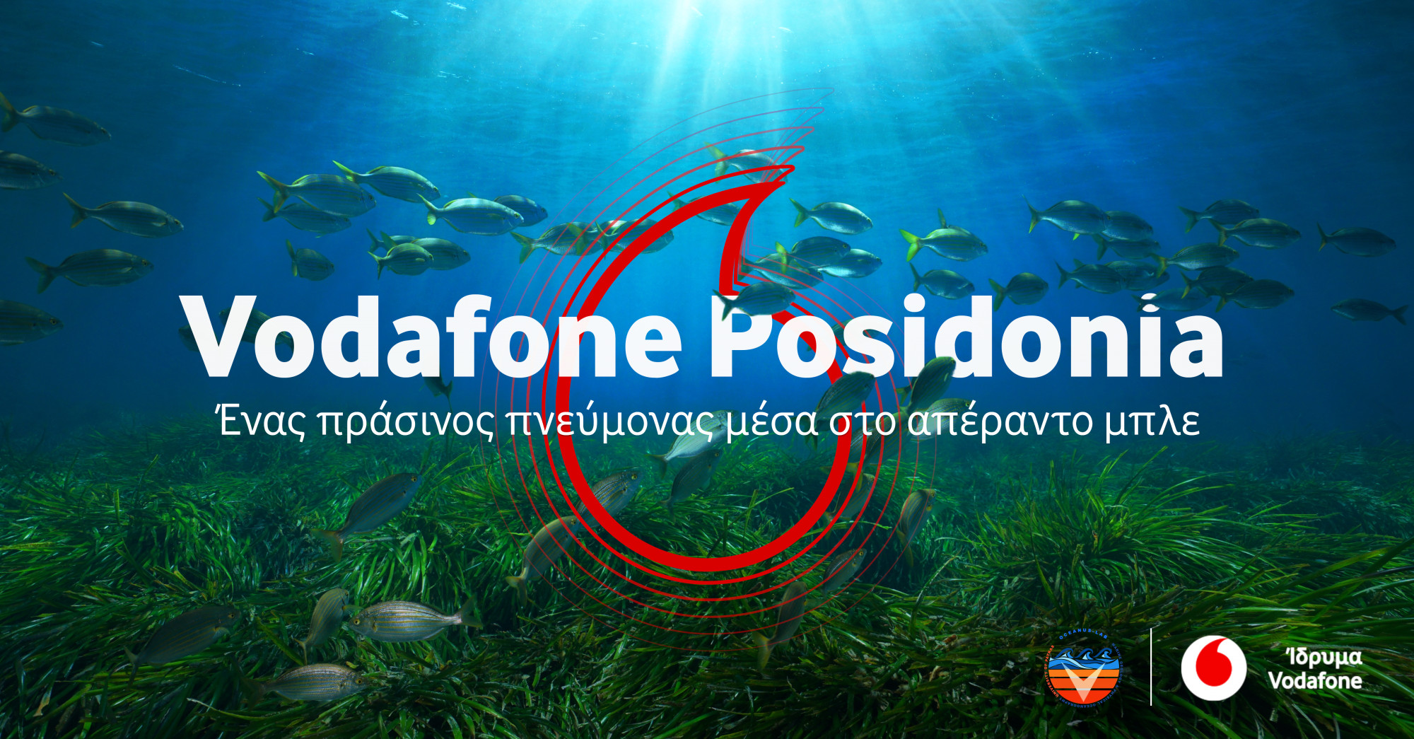 Τα λιβάδια της ελληνικής Ποσειδωνίας υπό την προστασία του Ιδρύματος Vodafone