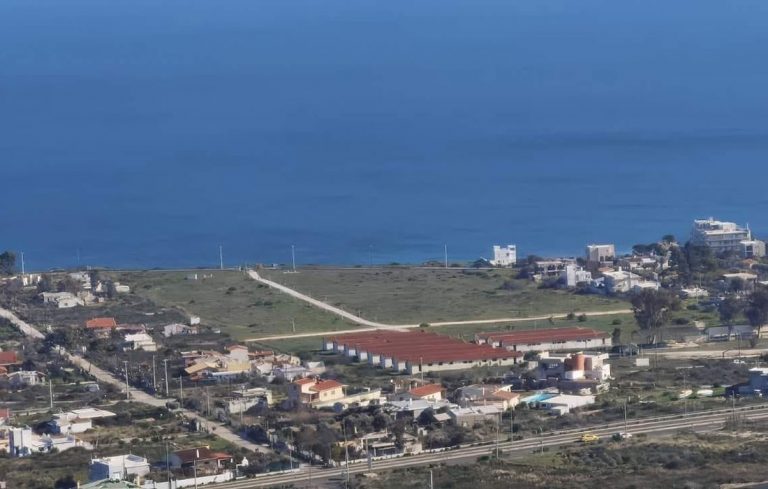 Αυξήθηκε το ισοζύγιο πρασίνου στο Δήμο Μαραθώνος