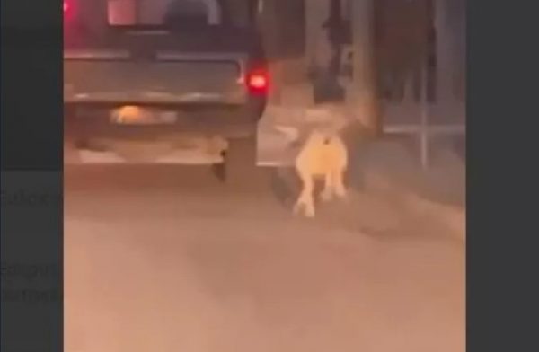 Ξυλόκαστρο: Συνελήφθη ο οδηγός που έσερνε σκύλο με το όχημα
