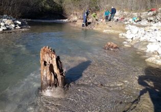 Η ισχυρότερη ηλιακή καταιγίδα όλων των εποχών άφησε τα ίχνη της στα δέντρα