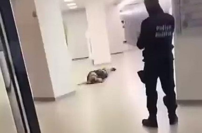 Βρυξέλλες: Η στιγμή που εντοπίζονται οι νεκροί της τρομοκρατικής επίθεσης