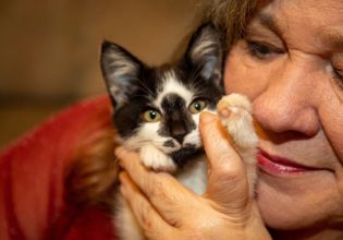 «Πάρε μια γάτα» – Η συγκινητική θεραπεία που πρότεινε γιατρός σε ασθενή