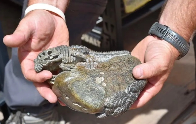 ΗΠΑ: Έκλεψαν απολιθώματα δεινοσαύρων και τα πούλησαν στην Κίνα