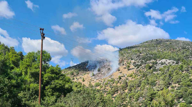 Φωτιά στην Νέα Μάκρη - Σηκώθηκαν εναέρια μέσα