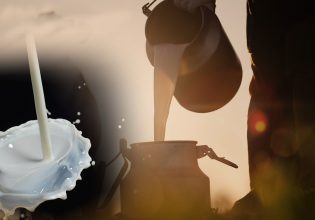 Φουντώνει το παζάρι για την τιμή γάλακτος – Τι ζητούν οι κτηνοτρόφοι