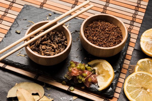 ΗΠΑ: Ενας από τους μεγαλύτερους παραγωγούς κρέατος επενδύει σε πρωτεΐνη εντόμων