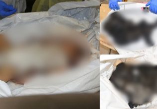 Νετανιάχου: Έδειξα στον Μπλίνκεν εικόνες με απανθρακωμένα μωρά