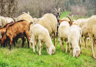 Αυτόχθονες φυλές: Ξεκινούν οι αιτήσεις στήριξης – Ποια ποσά θα δοθούν