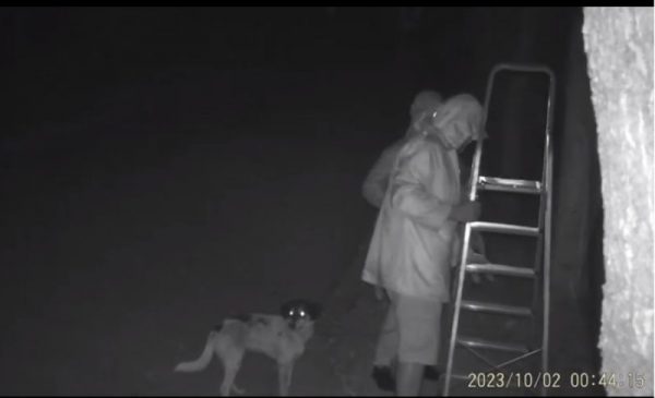 Κέρκυρα: Πετάνε από μεγάλο ύψος σκυλιά σε καταφύγιο για να τα ξεφορτωθούν