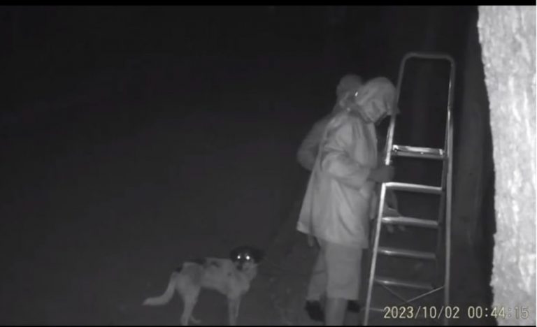 Κέρκυρα: Πετάνε από μεγάλο ύψος σκυλιά σε καταφύγιο για να τα ξεφορτωθούν