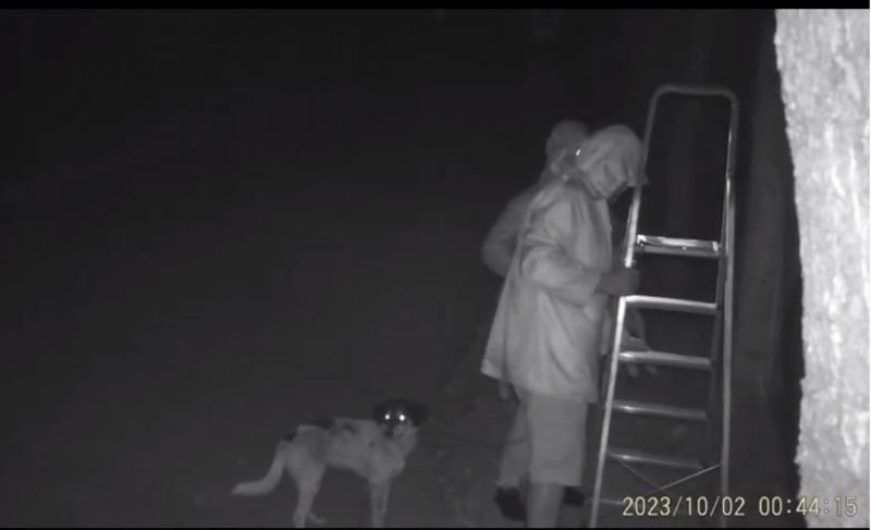 Κέρκυρα: Πετάνε από μεγάλο ύψος σκυλιά σε καταφύγιο για να τα ξεφορτωθούν