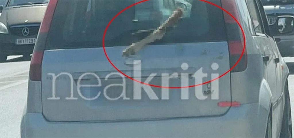 Φρίκη στο Ηράκλειο Κρήτης: Κυκλοφορούσε με ένα πόδι κατσίκας στο παρμπρίζ του αυτοκινήτου του