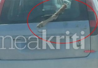 Φρίκη στο Ηράκλειο Κρήτης: Κυκλοφορούσε με ένα πόδι κατσίκας στο παρμπρίζ του αυτοκινήτου του
