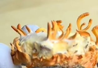 Κατάφερε να φτιάξει μανιτάρια χρησιμοποιώντας το δικό του αίμα και δέρμα – Μετά τα έφαγε