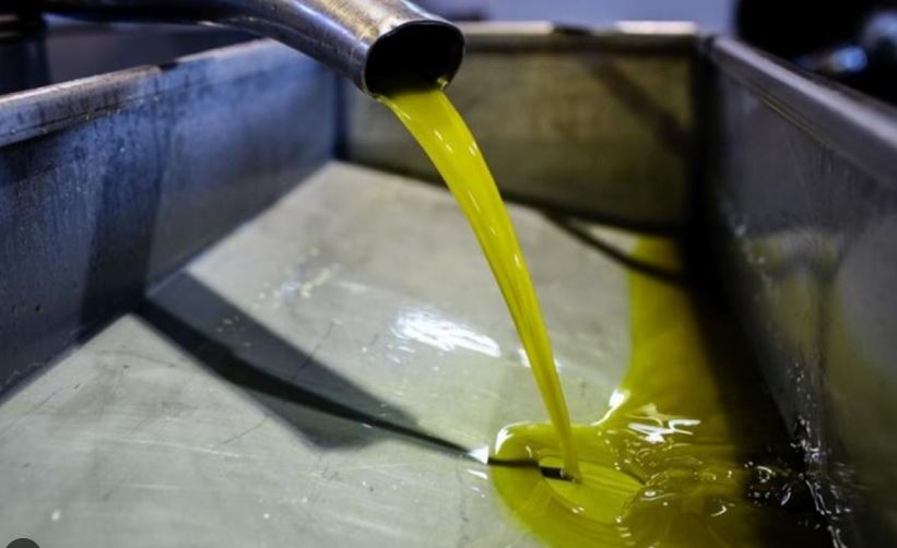 Olive oil: How long will the “green gold” rally continue