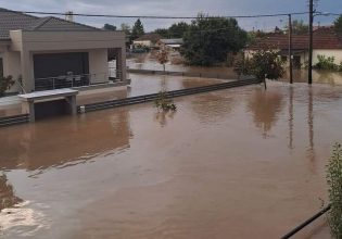 Βοϊτσεσχόφσκι (Επίτροπος Γεωργίας): Απαιτούνται τεράστια ποσά για τη Θεσσαλία