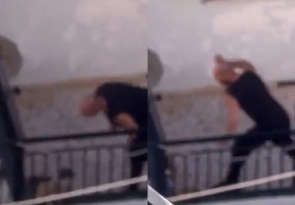 Κακοποίηση ζώου: Συνελήφθη ο άνανδρος που βασάνιζε σκύλο σε μπαλκόνι