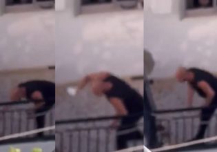 Πρόστιμο 5.000 ευρώ σε 38χρονο που κακοποίησε σκύλο στο Πέραμα