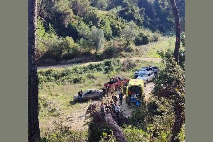 Χαλκιδική: Υλοτόμος καταπλακώθηκε από δέντρο την ώρα που έκοβε ξύλα