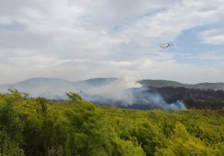Ζάκυνθος: Σε εξέλιξη μεγάλη φωτιά – Ενισχύθηκαν οι επίγειες και εναέριες δυνάμεις