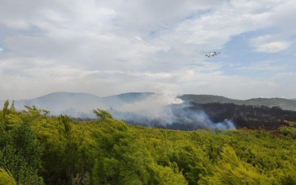 Ζάκυνθος: Σε εξέλιξη μεγάλη φωτιά – Ενισχύθηκαν οι επίγειες και εναέριες δυνάμεις