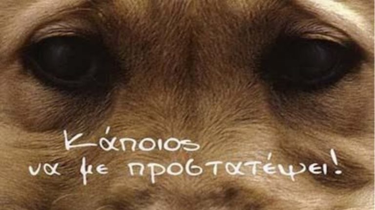 Παγκόσμια Ημέρα των Ζώων: Ημέρα για δημιουργικό προβληματισμό