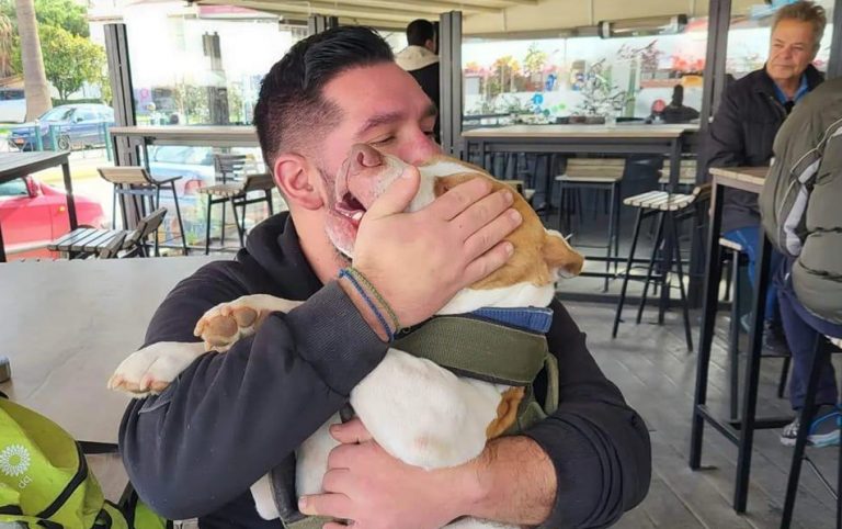 Σκύλος: Γιατί κυνηγάει σκιές; – 12 συμπεριφορές, που χρειάζονται την προσοχή μας