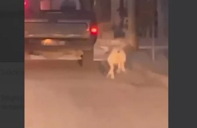 Κακοποίηση σκύλου: Βίντεο τον δείχνει δεμένο έξω από κινούμενο όχημα