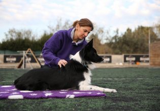 Σιάτσου: Το άγγιγμα που θεραπεύει τα ζώα