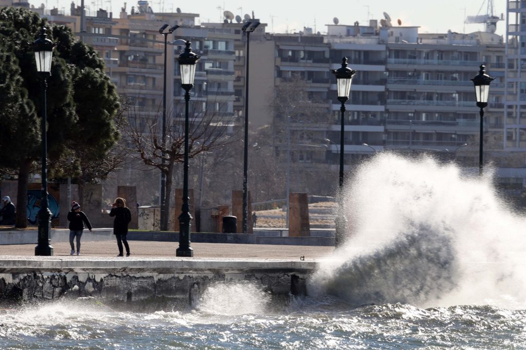 Θεσσαλονίκη: Πτώσεις δέντρων λόγω των ισχυρών ανέμων – Προκλήθηκαν φθορές σε οχήματα