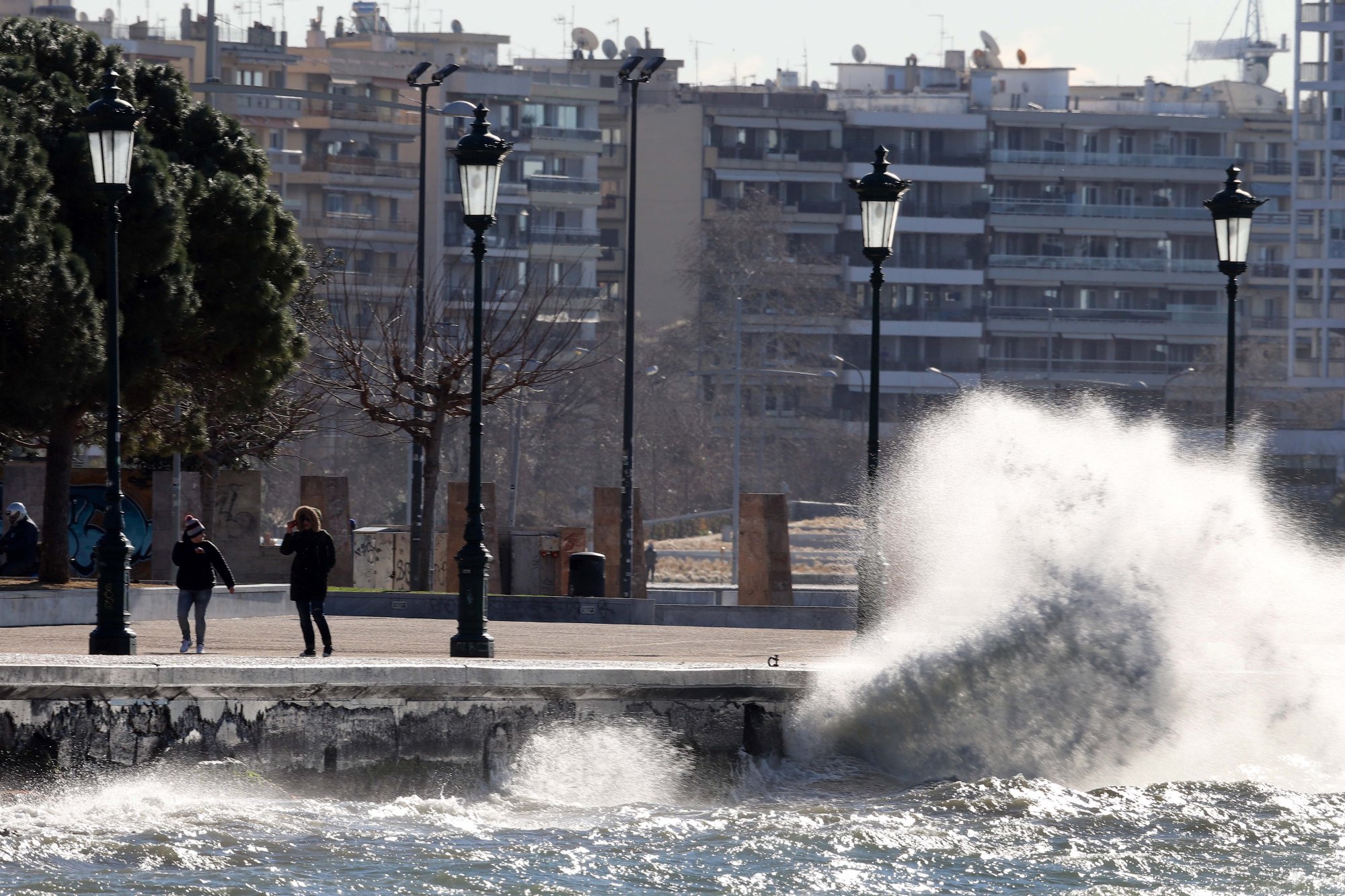 Θεσσαλονίκη: Πτώσεις δέντρων λόγω των ισχυρών ανέμων - Προκλήθηκαν φθορές σε οχήματα
