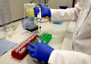 Καλλιεργημένο κρέας: Για ζωοτροφές η πρώτη άδεια που παραχωρεί η ΕΕ