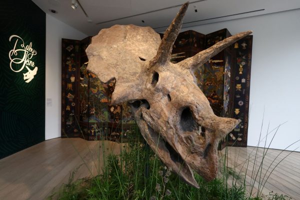 Στο «σφυρί» κρανίο δεινοσαύρου 68 εκατομμυρίων ετών - Πόσα θα «πιάσει»