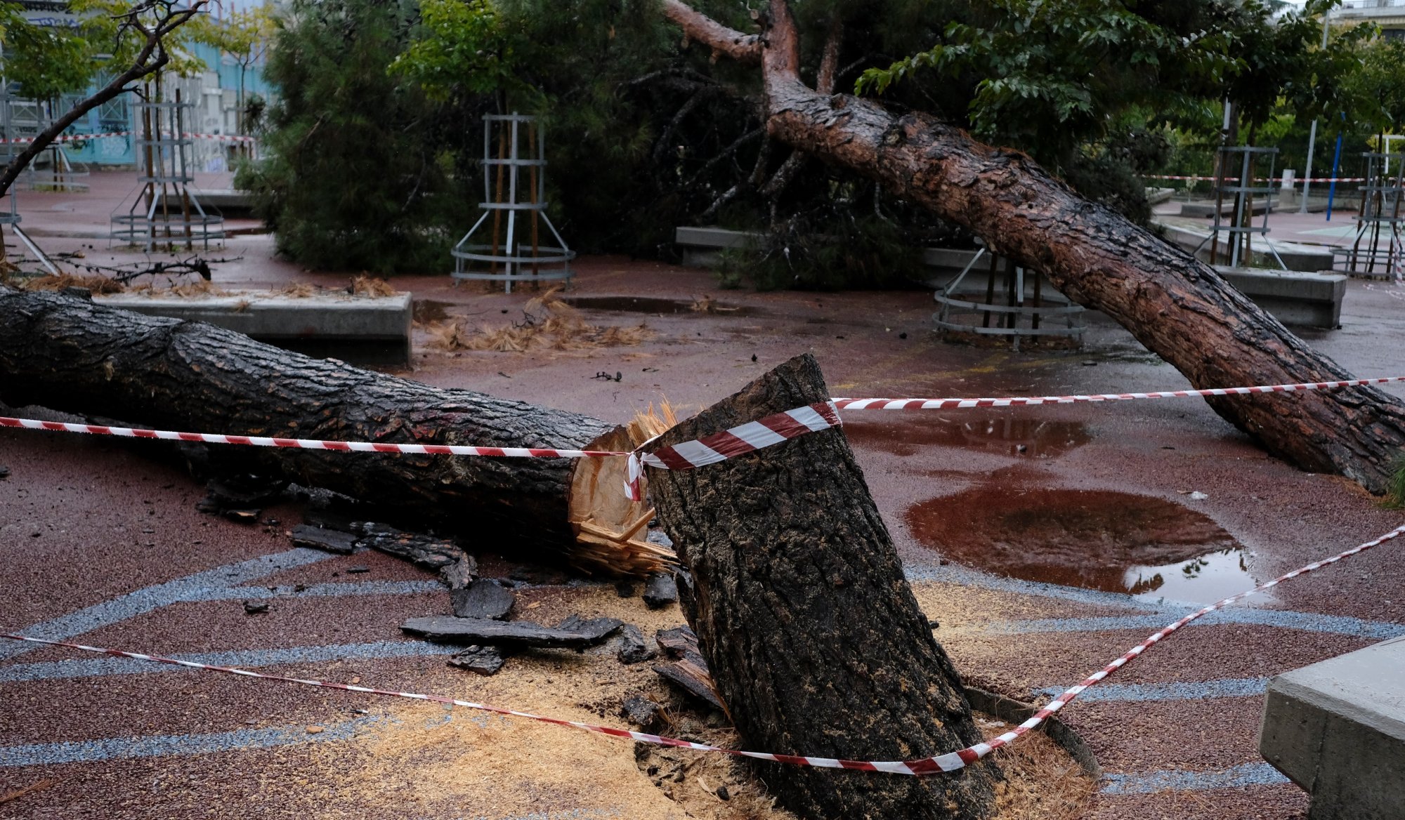 Η Bettina έκοψε τα δέντρα της χώρας - Πάνω από 280 κοπές στη χώρα
