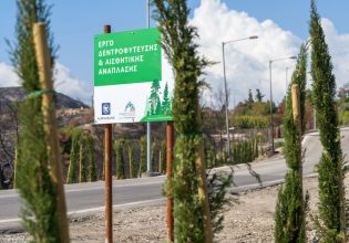 Η Alpha Bank αρωγός στην προστασία του Περιβάλλοντος