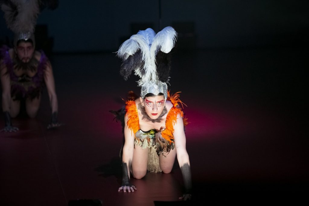 Amazing: Από την Ιωάννα Πορτόλου και την Ομάδα Χορου Griffon στο θέατρο ΠΛΥΦΑ
