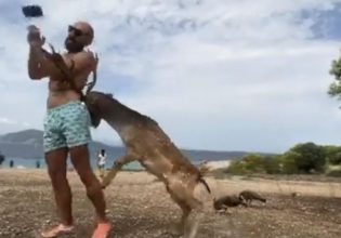 Ελλάδα: Η αποτυχία μίας selfie – Πήγε να φωτογραφηθεί με ελάφι και…