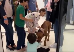 Ισραήλ: Η στιγμή της επανένωσης τριών μικρών ομήρων της Χαμάς με τον σκύλο τους