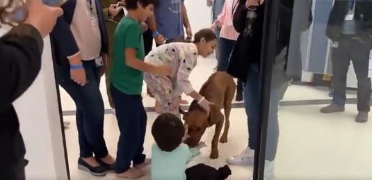 Ισραήλ: Η στιγμή της επανένωσης τριών μικρών ομήρων της Χαμάς με τον σκύλο τους