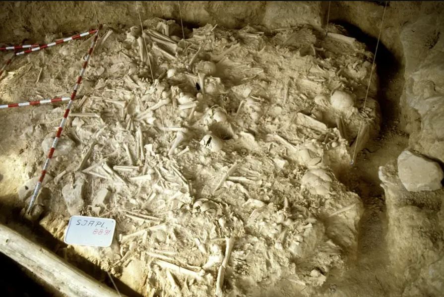 Διαμελισμένοι σκελετοί αποκαλύπτουν τον πρώτο γνωστό πόλεμο στην Ευρώπη