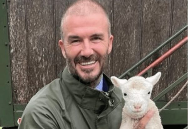 Απίθανος Μπέκαμ: Ανέβασε φωτογραφία με… πρόβατο και εκθείασε τα «αστέρια» της Ίντερ Μαϊάμι