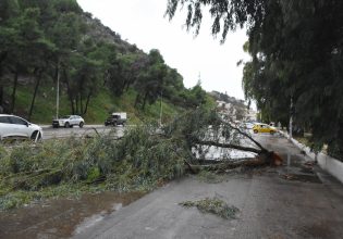 Κακοκαιρία Oliver: Ισχυροί άνεμοι και πτώσεις δέντρων στην Αττική