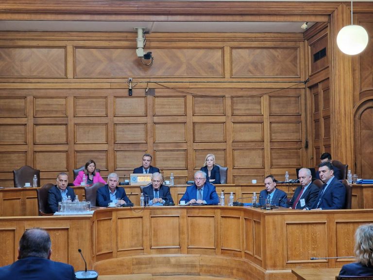 Το Ινστιτούτο Τοπικής Αυτοδιοίκησης στην Βουλή για θέματα διαχείρισης κινδύνων