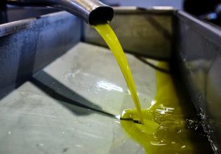 Μεγάλες διαστάσεις στη νόθευση ελαιολάδου – Πληθαίνουν οι περιπτώσεις στην Καλαμάτα