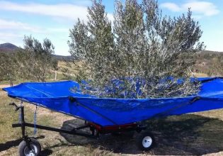 Οι καταναλωτές λένε το λάδι… λαδάκι και οι πατέντες για μάζεμα της ελιάς κάνουν θραύση στο διαδίκτυο