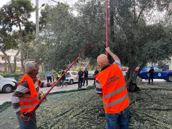 Δωρεάν λάδι από τον Δήμο Γλυφάδας στους οικονομικά αδύναμους κατοίκους της πόλης