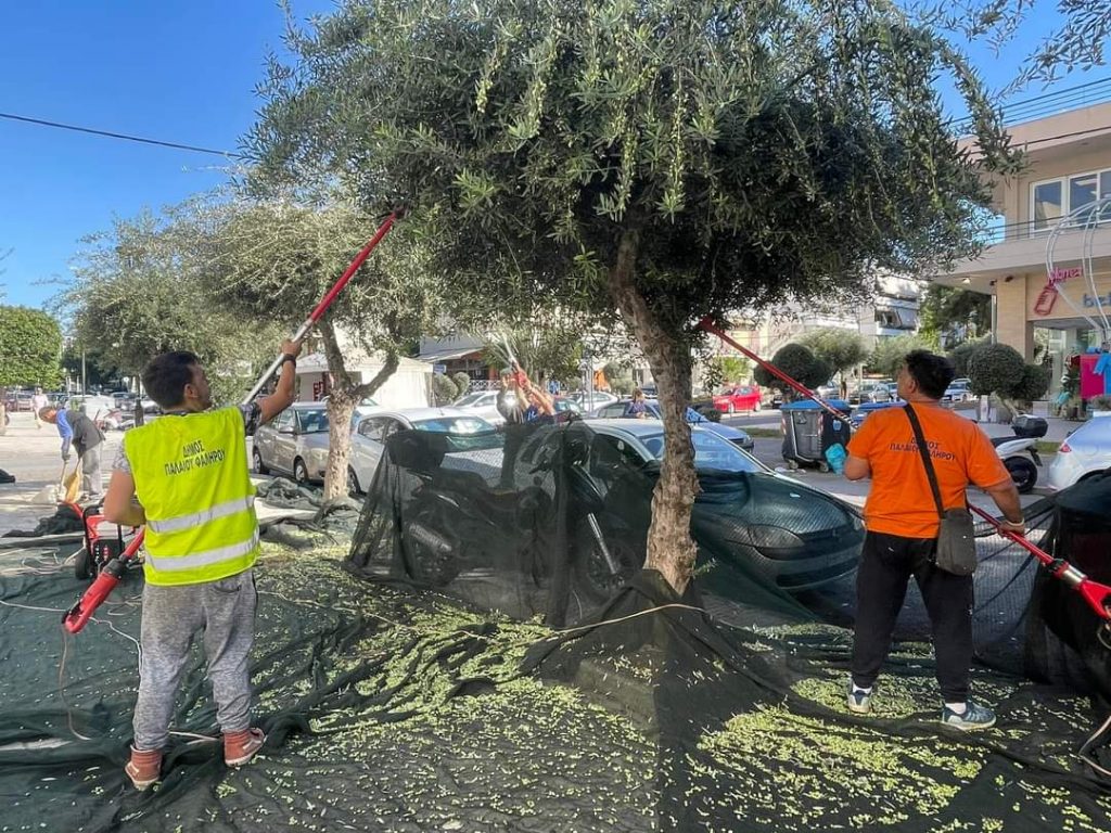«Ελαιομαζέματα» στο Δήμο Παλαιού Φαλήρου για καλό σκοπό